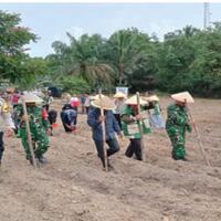 gan-tni-di-muba-ikut-turun-ke-sawah-tanam-jagung-serentak-q1-2026
