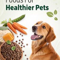 benefits-of-pukka-herbal-drinks