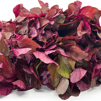 resep-mie-bayam-merah-untuk-mengatasi-anemia-pada-anak