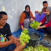 dukung-ketahanan-pangan-rutan-majene-suplai-selada-hasil-karya-warga-binaan-ke-sppg