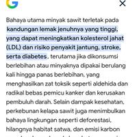 sawit-jadi-tulang-punggung-menuju-indonesia-emas-2045