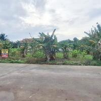 jual-tanah-di-cibitung-bekasi-depan-gerbang-perumahan-taman-wanasari-indah