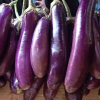 khusus-pria-pamer-benjolan-di-media-sosial-bisa-dipenjara