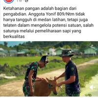 dikasih-paham-ukraina-dua-batalion-nato-dihancurkan-dalam-latihan-perang