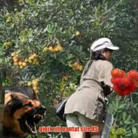 nanda-gita-mau-yang-sulit-sulit