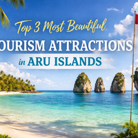 top-3-most-beautiful-tourism-attractions-in-aru-islands