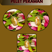 mustika-ampuh-pelet-perawan