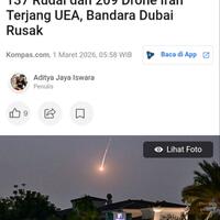danantara-soroti-penerbangan-singapore-airlines-lebih-banyak-dibanding-garuda