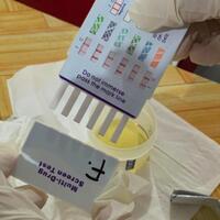 rutan-majene-laksanakan-tes-urine-acak-warga-binaan-oleh-mahasiswa-ppl-stikmar