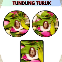 mustika-jin-tundung-turuk