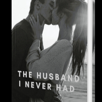 the-husband-i-never-had-novel-by-fiona-d--novel
