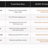 dari-janji-ke-kode-bagaimana-protokol-cofi-menghapus-risiko-rug-pull-di-minibtc