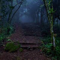 misteri-kabut-hitam-di-gunung-arjuno