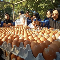 lawan-tengkulak-peternak-blitar-jual-telur-langsung-ke-warga-rp20-ribu-per-kg