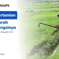 10-alat-pertanian-manual-murah-beserta-fungsinya