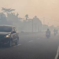 waduh-hotspot-karhutla-di-pulau-kalimantan-melonjak-4-kali-dalam-sehari