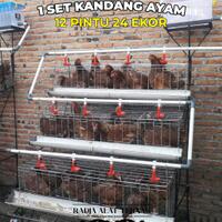 kandang-ayam-petelur-kapasitas-24-ekor-fullset