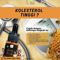 maxi-propolis-produk-original-tanpa-alkohol-kecgrogol-petamburanjakarta-barat