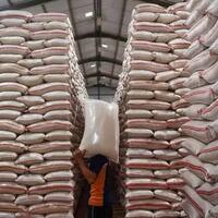 indonesia-bangkit-setelah-42-tahun-akhirnya-ri-ekspor-500000-ton-beras-ke-malaysia