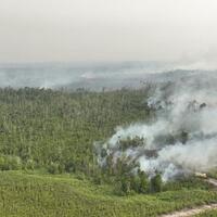 5-fakta-tentang-karhutla-kalimantan-2026-nomor-3-bikin-syok