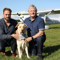 dapatkah-anjing-menerbangkan-pesawat-tv-show-ini-akan-menjawabnya