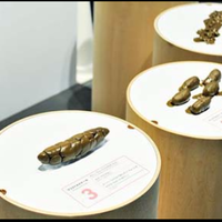 national-poo-musuem-museum-kotoran-yang-ada-di-inggris-distrubing-pict-gan