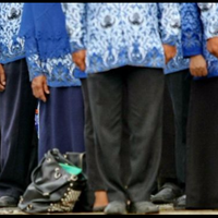 pns-macam-apa-yang-akan-kena-pangkas