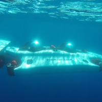 mau-wisata-kesini--siapkan-dana-22milyar--with-video