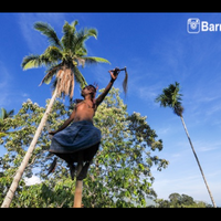 kampung-tradisional-dokar-yg-eksotis-di-maumere-flores