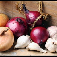 5-makanan---minuman-yang-berbahaya-untuk-kucing-dan-anjing