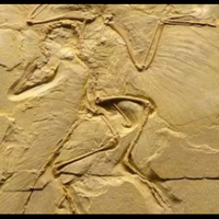 10-tembok-yang-akan-dikenang-sepanjang-masa