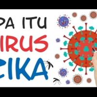 wajib-tahu-inilah-bahaya-virus-zika-bagi-manusia-beserta-pencegahan--perawatan