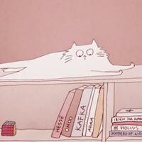 kenapa-kucing-bertingkah-aneh--menggemaskan--explanation-with-animation