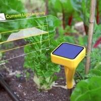 semua-jadi-lebih-mudah-sejak-ada-internet-ya-gan