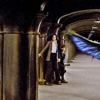 6-hewan-fantastis-dari-film-fantastic-beasts-and-where-to-find-them