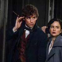fakta-hubungan-fantastic-beasts-dengan-harry-potter-nih-gan