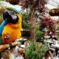 the-grounds-of-alexandria-tempat-makan-unik-di-sydney