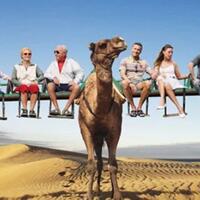 sebelum-traveling-kenali-7-jenis-travelmate-agan