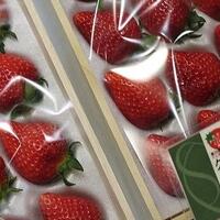 menakjubkan-ada-buah-termahal-yang-bikin-kamu-mikir-untuk-menikmatinya