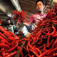 harga-cabai-naik-ternyata-ini-lho-alasannya
