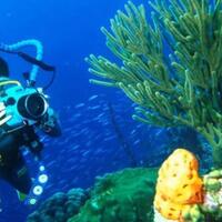 indonesia-dinobatkan-jadi-destinasi-diving-terbaik-dunia-2017