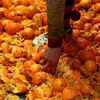 battle-of-the-orange-festival-yang-menghabiskan-200-ton-jeruk