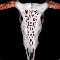 keren-wanita-ini-bisa-sulap-tubuhnya-jadi-berbagai-bentuk