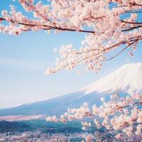 fakta-unik-tentang-gunung-fuji-jepang