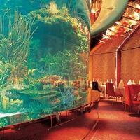 restoran-bawah-laut-yang-bikin-agan-nggak-fokus-makan-karena-keindahannya