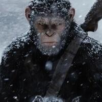 war-for-the-planet-of-the-apes-aksi-heroik-caesar-melawan-manusia