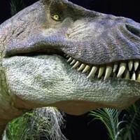 penemuan-t-rex-ternyata-punya-sepupu-gan