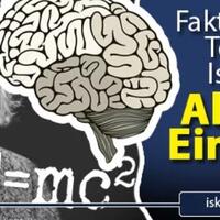 fakta-terbaru-isi-otak-a-einstein-penjelasan-14-foto-yang-saat-ini-dirahasiakan