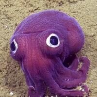 6-penelitian-baru-yang-ungkap-rahasia--aneh--dari-alam