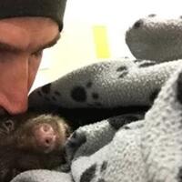 berikan-napas-buatan-pria-ini-selamatkan-bayi-beruang